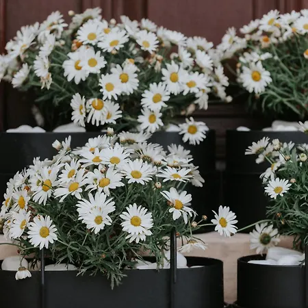 The Hub Syros Ermoupoli