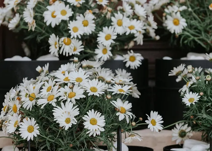 The Hub Syros Ermupoli